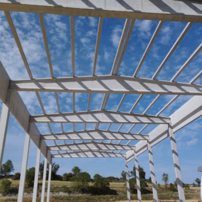 Nau agrícola Santa Coloma de Queralt Century's Beams